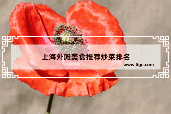 上海外滩美食推荐炒菜排名