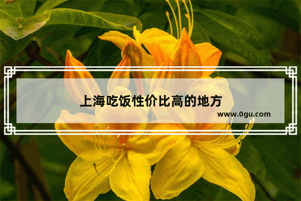上海吃饭性价比高的地方