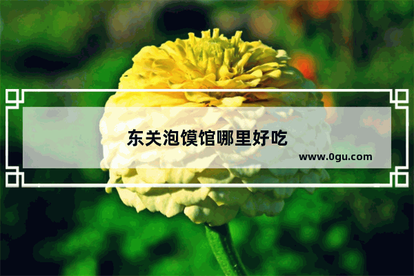 东关泡馍馆哪里好吃