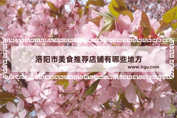 洛阳市美食推荐店铺有哪些地方