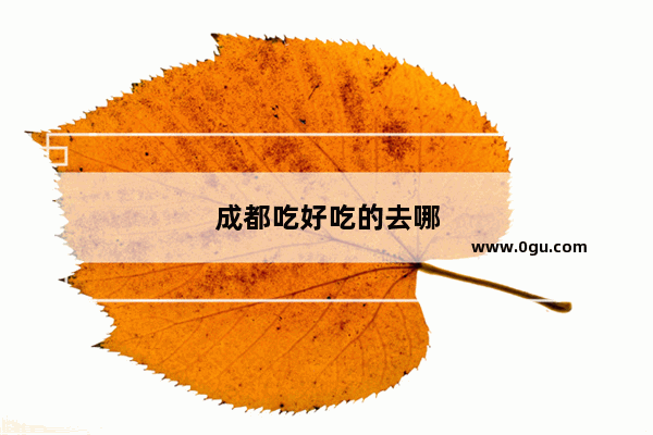 成都吃好吃的去哪