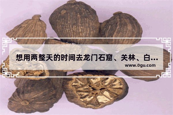 想用两整天的时间去龙门石窟、关林、白马寺、洛阳博物馆、丽景门、明堂天堂和古墓博物馆 应该怎样安排行程