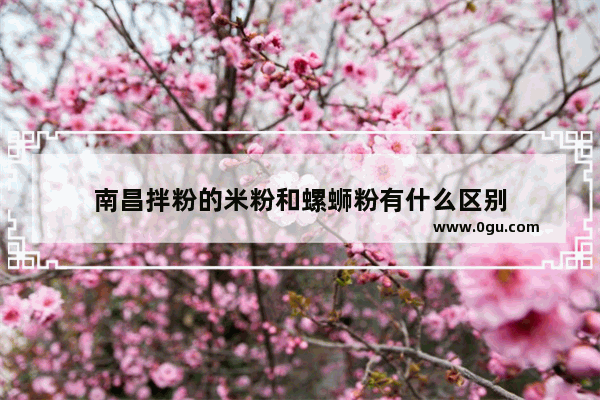 南昌拌粉的米粉和螺蛳粉有什么区别