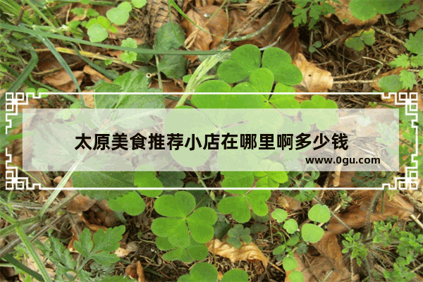 太原美食推荐小店在哪里啊多少钱