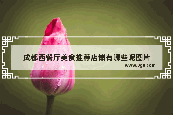成都西餐厅美食推荐店铺有哪些呢图片