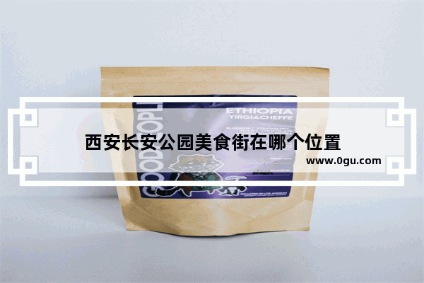 西安长安公园美食街在哪个位置