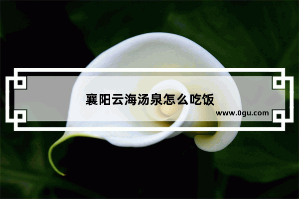 襄阳云海汤泉怎么吃饭
