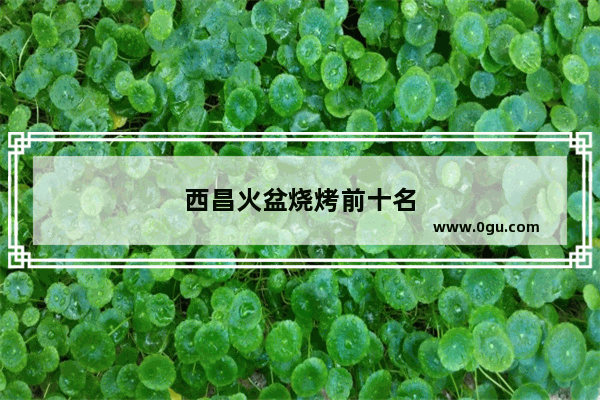 西昌火盆烧烤前十名