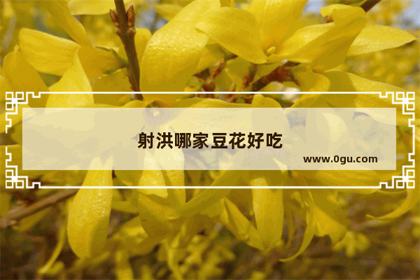 射洪哪家豆花好吃