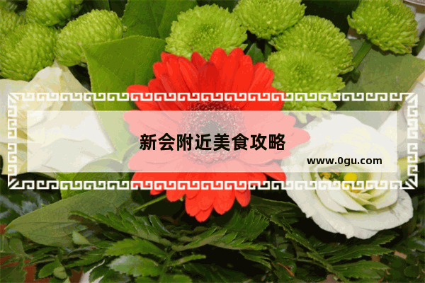 新会附近美食攻略