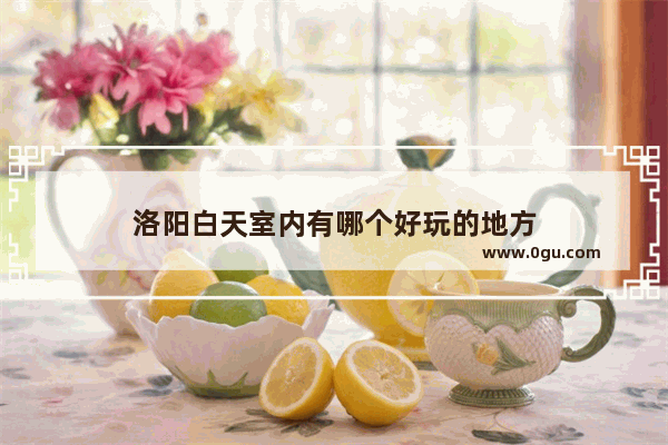 洛阳白天室内有哪个好玩的地方