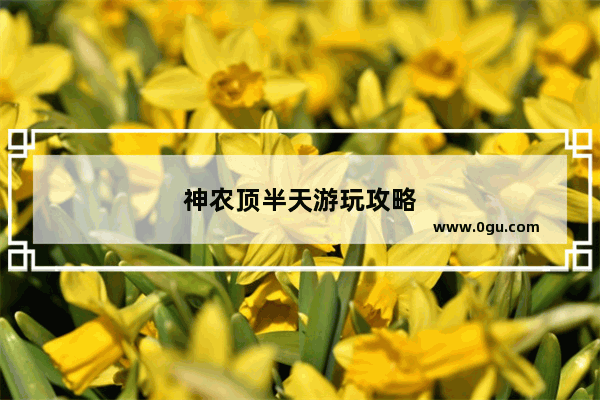 神农顶半天游玩攻略