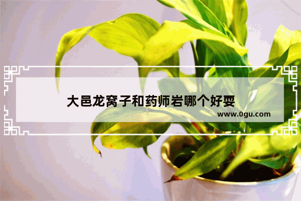 大邑龙窝子和药师岩哪个好耍