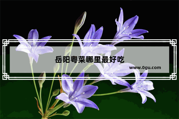 岳阳粤菜哪里最好吃