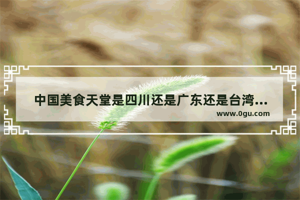 中国美食天堂是四川还是广东还是台湾还是上海还是西北