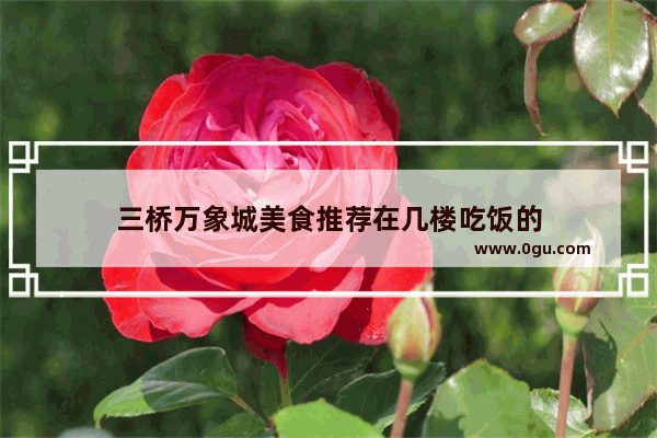 三桥万象城美食推荐在几楼吃饭的