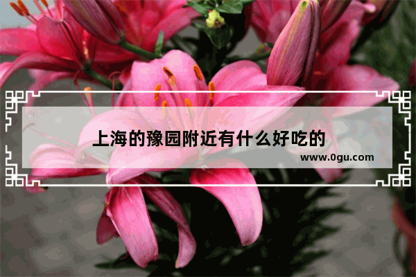 上海的豫园附近有什么好吃的