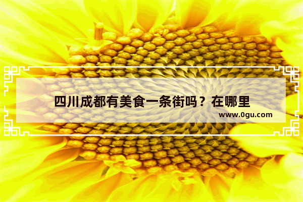 四川成都有美食一条街吗？在哪里