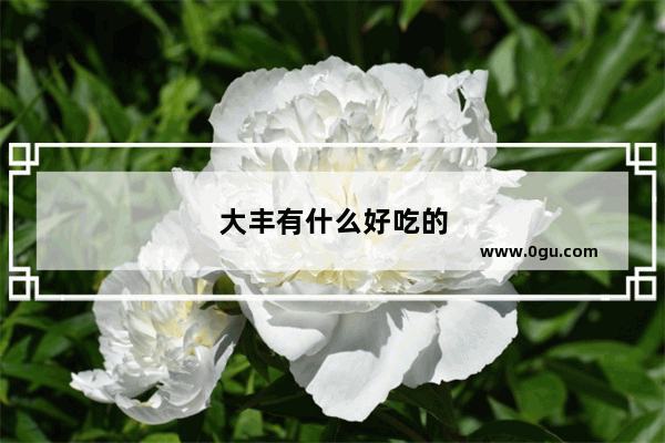 大丰有什么好吃的