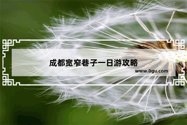 成都宽窄巷子一日游攻略