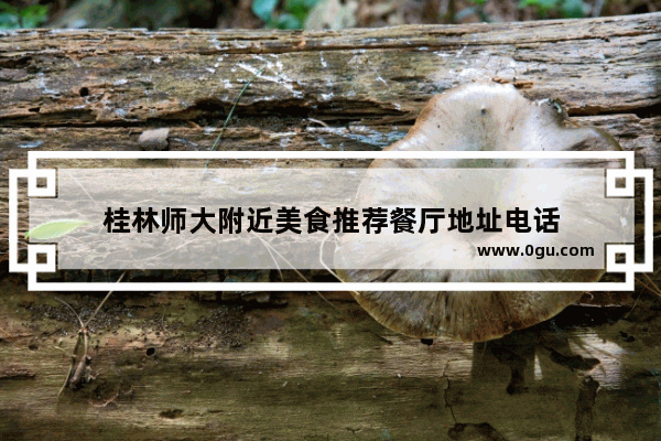 桂林师大附近美食推荐餐厅地址电话
