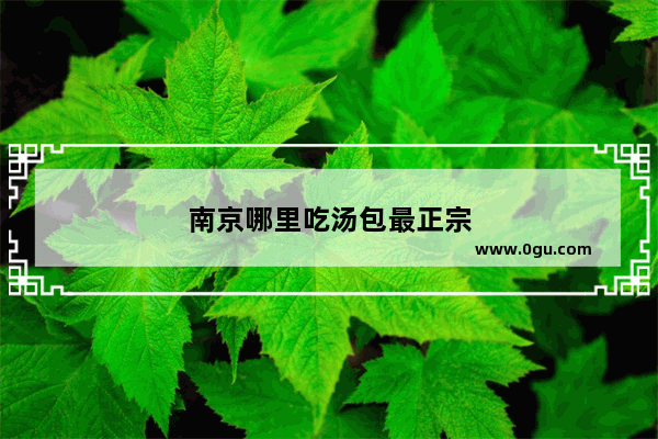 南京哪里吃汤包最正宗