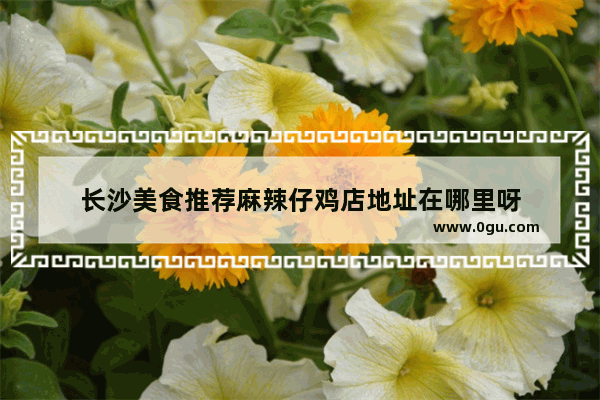 长沙美食推荐麻辣仔鸡店地址在哪里呀