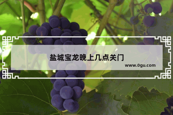 盐城宝龙晚上几点关门