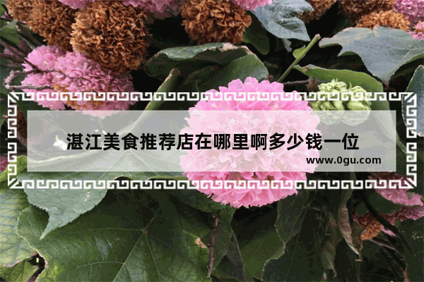 湛江美食推荐店在哪里啊多少钱一位
