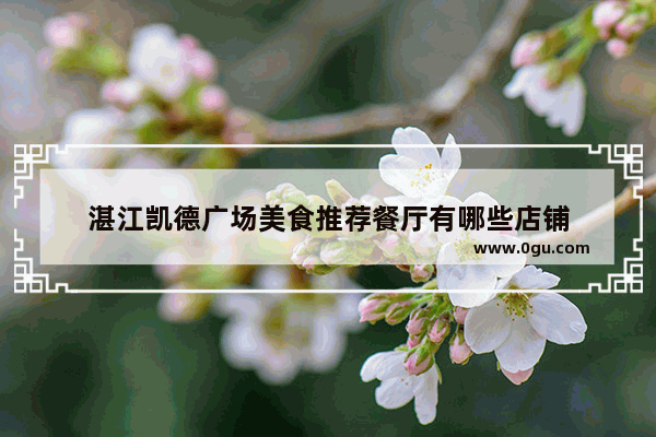 湛江凯德广场美食推荐餐厅有哪些店铺