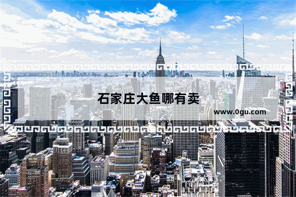 石家庄大鱼哪有卖