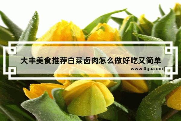 大丰美食推荐白菜卤肉怎么做好吃又简单