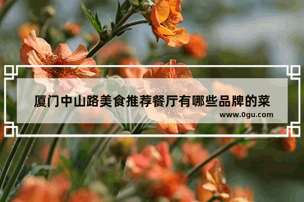 厦门中山路美食推荐餐厅有哪些品牌的菜