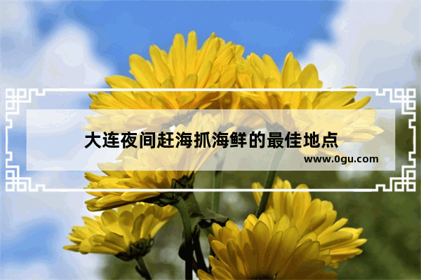 大连夜间赶海抓海鲜的最佳地点