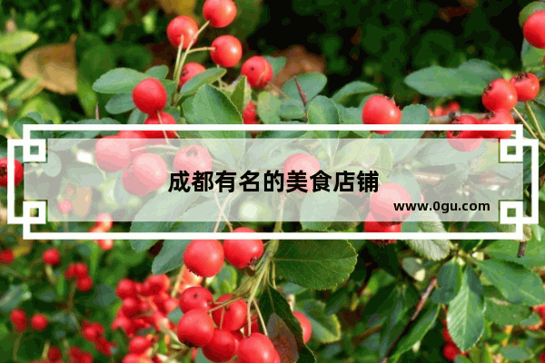 成都有名的美食店铺