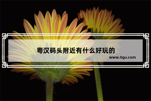 粤汉码头附近有什么好玩的