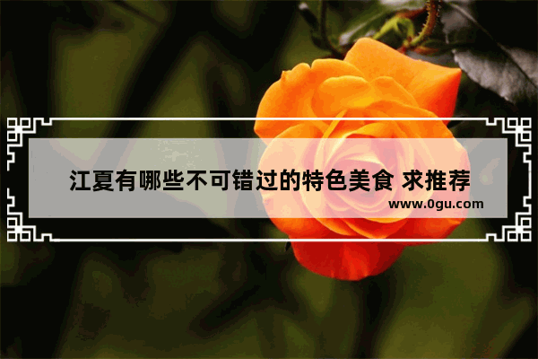 江夏有哪些不可错过的特色美食 求推荐