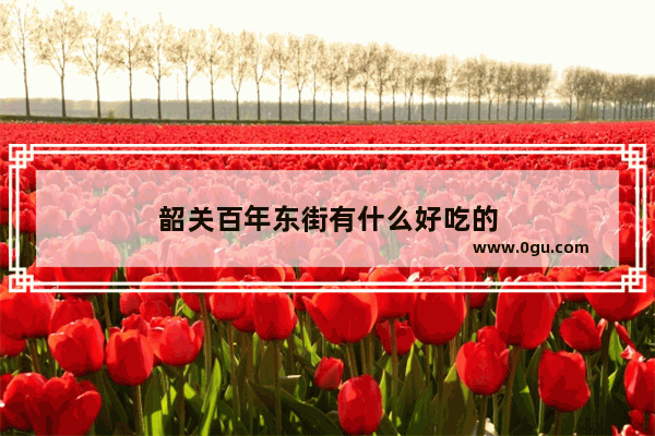 韶关百年东街有什么好吃的