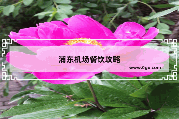 浦东机场餐饮攻略