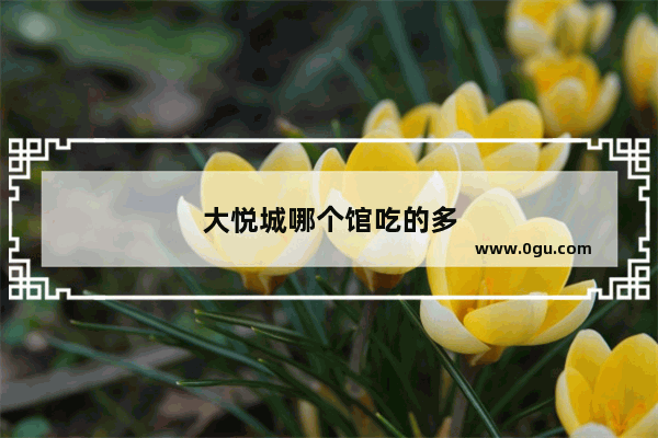 大悦城哪个馆吃的多