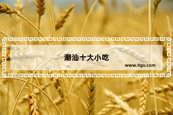 潮汕十大小吃