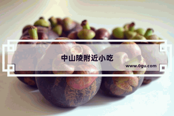 中山陵附近小吃