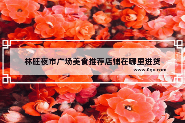 林旺夜市广场美食推荐店铺在哪里进货