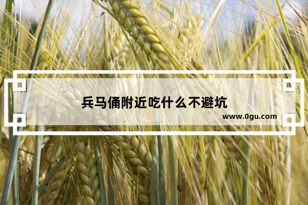 兵马俑附近吃什么不避坑