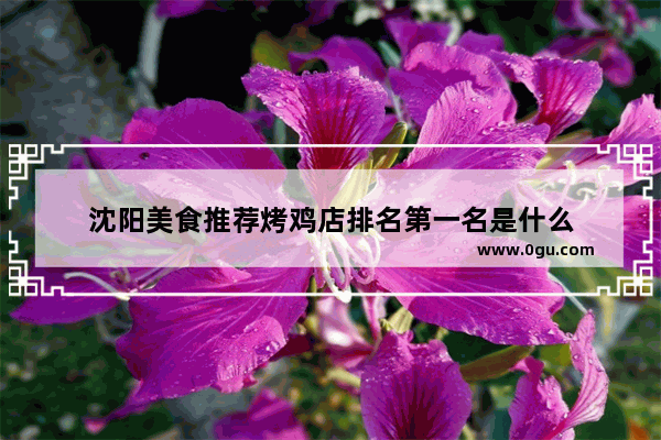 沈阳美食推荐烤鸡店排名第一名是什么