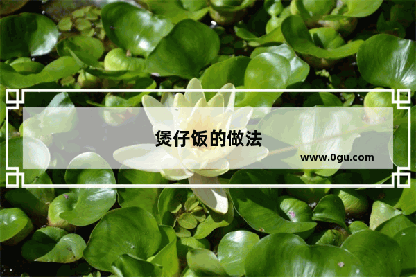 煲仔饭的做法