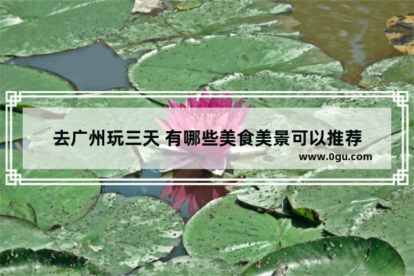去广州玩三天 有哪些美食美景可以推荐