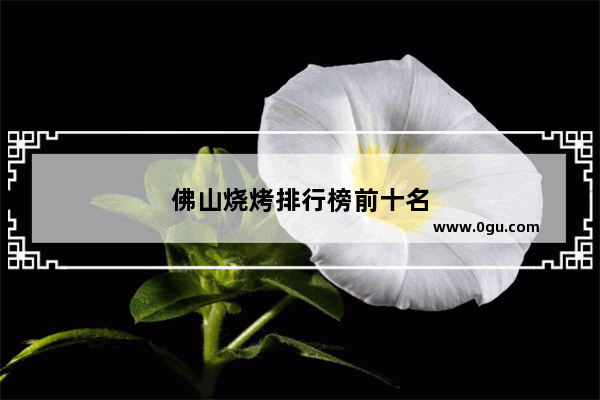 佛山烧烤排行榜前十名