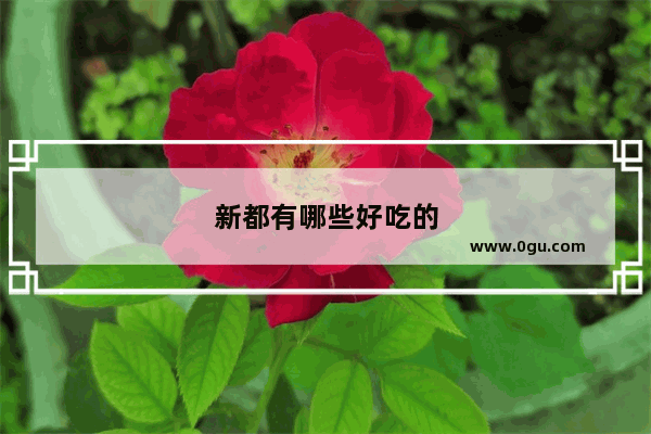 新都有哪些好吃的