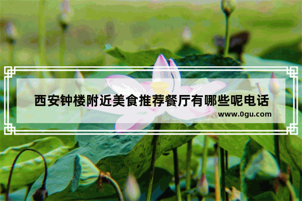 西安钟楼附近美食推荐餐厅有哪些呢电话